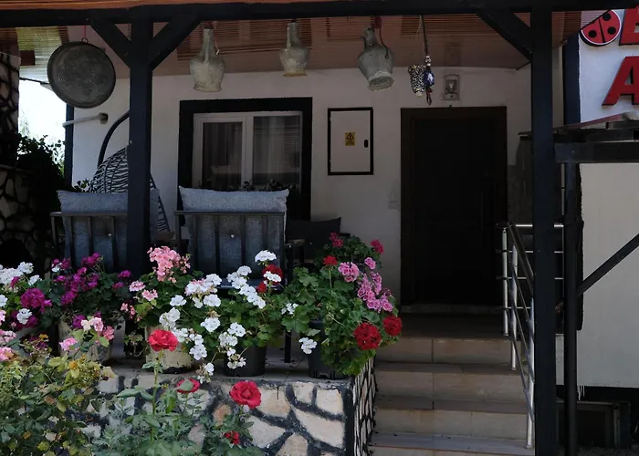 Дом отдыха Ecenaz *