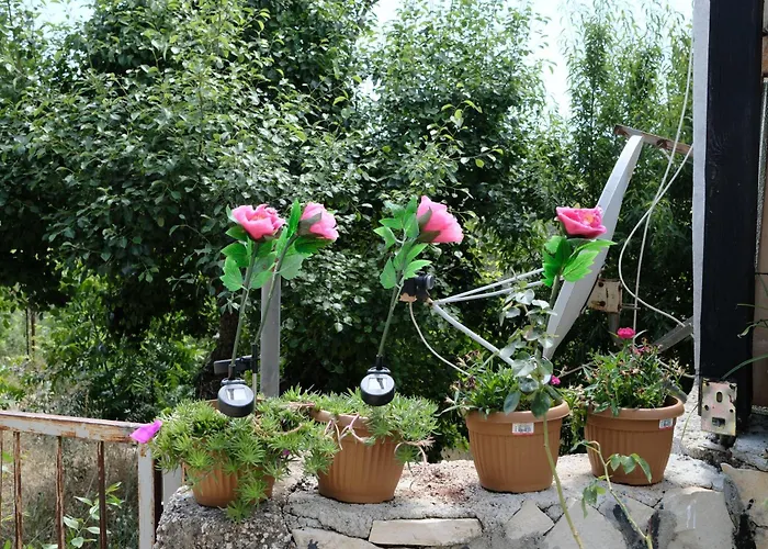 Дом отдыха Ecenaz