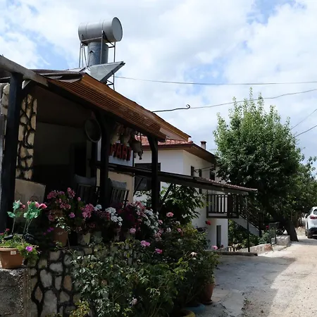 Ecenaz Kas