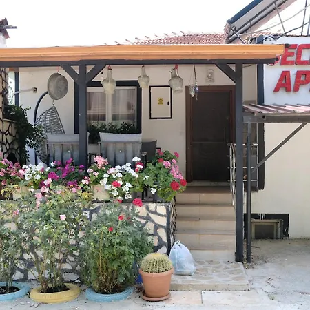 Ecenaz Κας