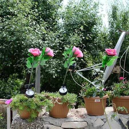 Ferienhaus Ecenaz